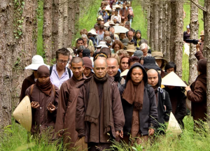Thich Nhat Hanh leads a walking meditation session at Plum Village in France in 2014. From plumvillage.org