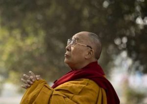 His Holiness the Dalai Lama gazes up toward the stupa behind the Bodhi Tree in Bodh Gaya on Wednesday. Photo by Manuel Bauer. From dalailama.com