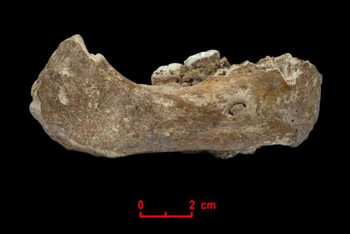 This 160,000-year-old fossilized jawbone offers new insights into the history of human life on the Tibetan Plateau and across Asia. From mpg.de