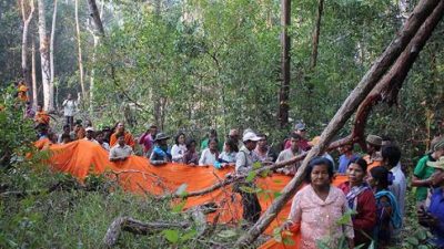 Monks and activists in Cambodia’s Prey Lang forest clothe trees in the fabric used for the traditional robes of Buddhist monks as part of a ceremony meant to protect the forest from illegal logging. From rfa.org