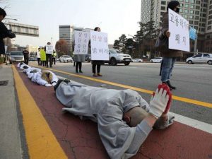 Buddhist monks prostrate themselves in Seoul, calling for better treatment of illegal workers in Korea. From asianews.it
