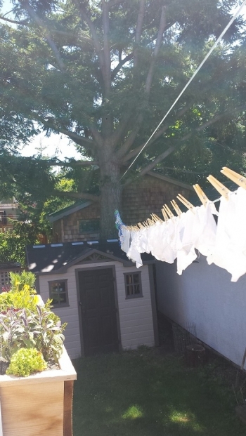 Adelaide’s diapers on the clothes line