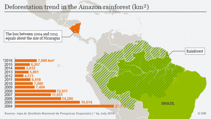 Amazon Rainforest Loss At Highest Level Since 08 Says Brazil Buddhistdoor