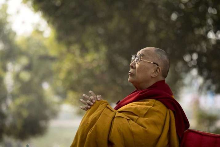 His Holiness the Dalai Lama gazes up toward the stupa behind the Bodhi Tree in Bodh Gaya on Wednesday. Photo by Manuel Bauer. From dalailama.com