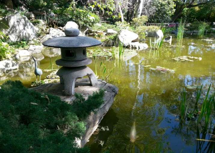 Large pond with stone lantern (<i>toro</i>) and koi at the Storrier Stearns Japanese Garden. Photo by Meher McArthur