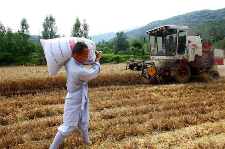 A Shaolin monk carries a bag full of wheat. From chinadaily.com.cn