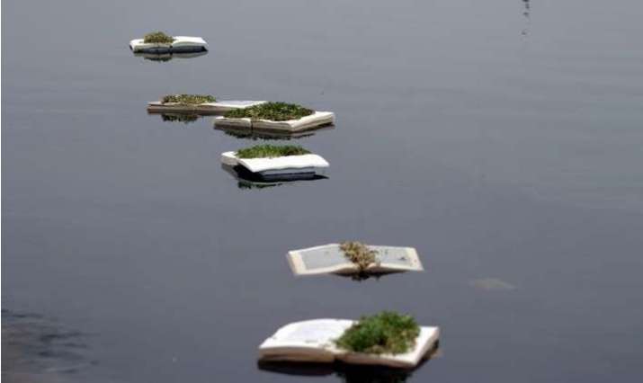 Book lily pad path. Actual title: <i>The Floating Exhibition – Serpentine Pond May 2004</i> by Selina Swayne. From pinterest.com