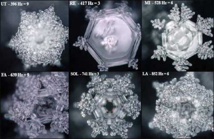 The affect of audio vibrations on water crystals. Image courtesy of the author