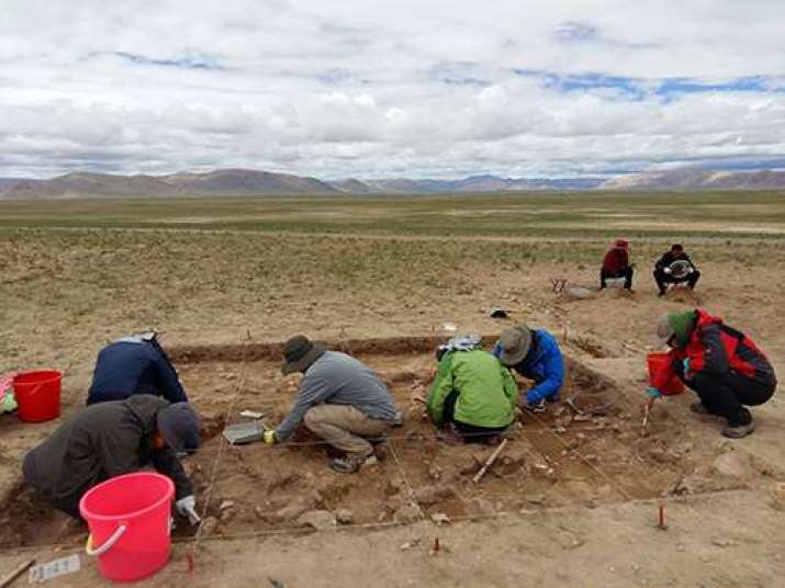 Excavations at Nwya Devu in central Tibet, photo by ZHANG Xiaolin. From english.cas.cn