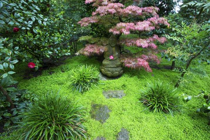 Buddha statue in the Japanese Garden. Image courtesy of Ganna Walska Lotusland