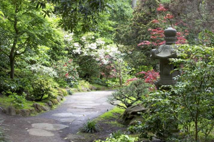 A winding path with stone lantern in the Japanese Garden. Image courtesy of Ganna Walska Lotusland