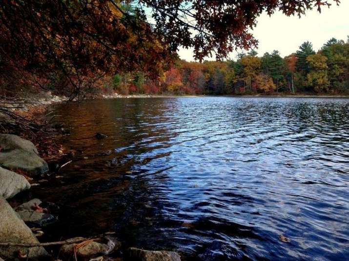 Walden Pond, Massachusetts. Photo by Andrew Douglass