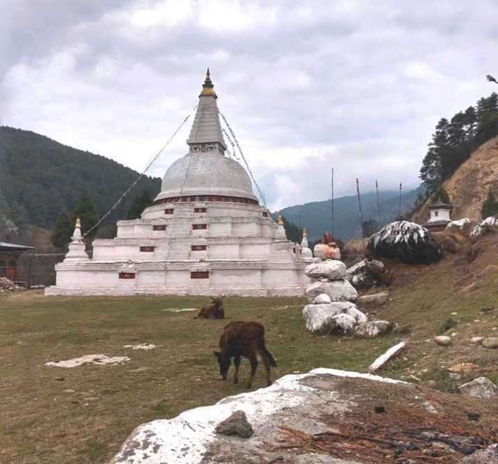 Bhutanese Stupa, 2019. Photo by Amelia Hall. From facebook.com