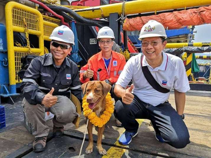 Boonrod with oil rig workers in the Gulf of Thailand. Image from Vitisak Payalaw on Facebook