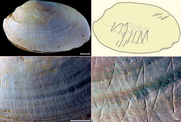 Crude geometric art has been found on shells in Indonesia dated to some 500,000 years ago. From filthymonkeymen.com
