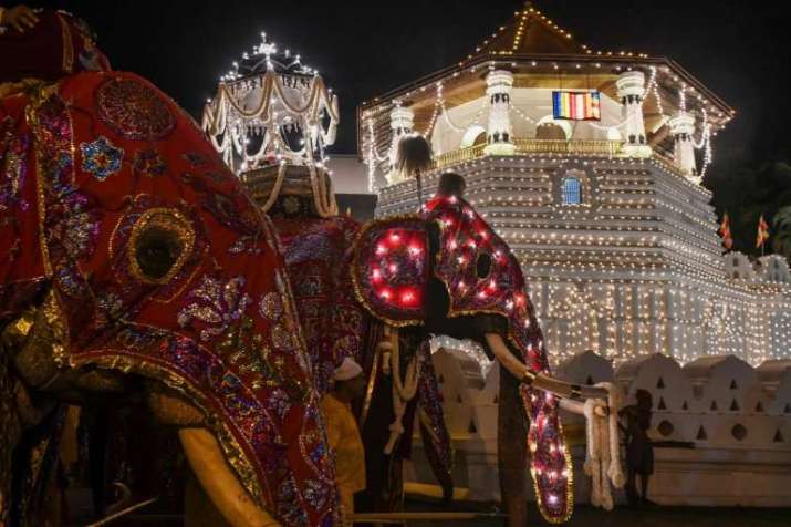 Some 60 elephants reportedly took part in nightly parades for Esala Perahera, which this year ran from 1–15 August. From metro.co.uk