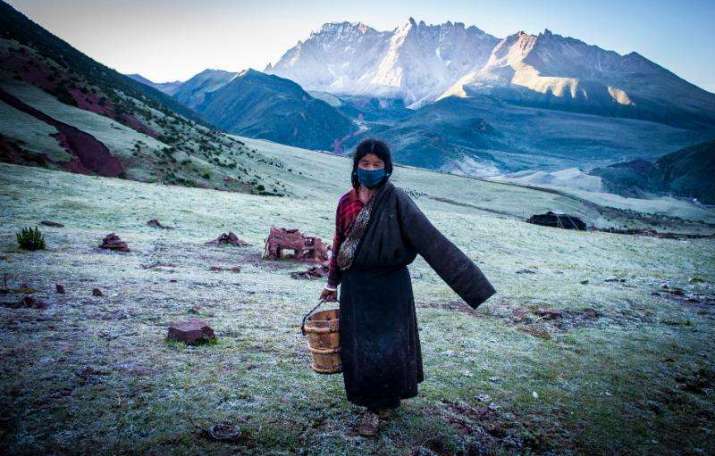 Palmo returns from milking on a frosty July morning in summer pastures in Ramashong Valley, Kham, 2015. Photo by Diane Barker