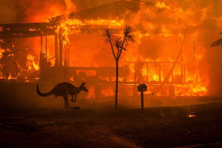 A house burning in New South Wales on New Year’s Eve. Photo by Matthew Abbott. From nytimes.com