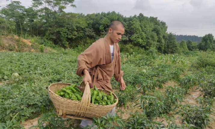 A Buddhist monk in the Lingquan Temple vegetable garden. From globaltimes.cn